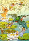 kingfisher.jpg (66023 bytes)
